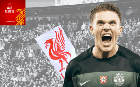 Liverpool and Viktor Gyökeres: A Data-Led Transfer Worth Watching