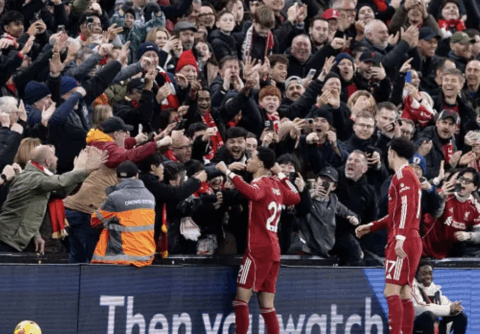 Player Ratings: Ekitike Leads as Liverpool Control Brighton at Anfield