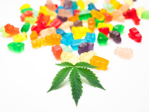 Matchday Storage: Keeping Cannabis Gummies Fresh Away