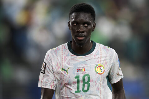 Report: Liverpool receive green light in move for Cody Gakpo replacement