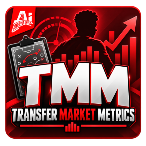 Transfer Market Metrics (TMM)